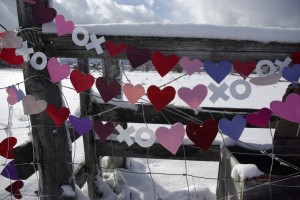 valentine XO banner