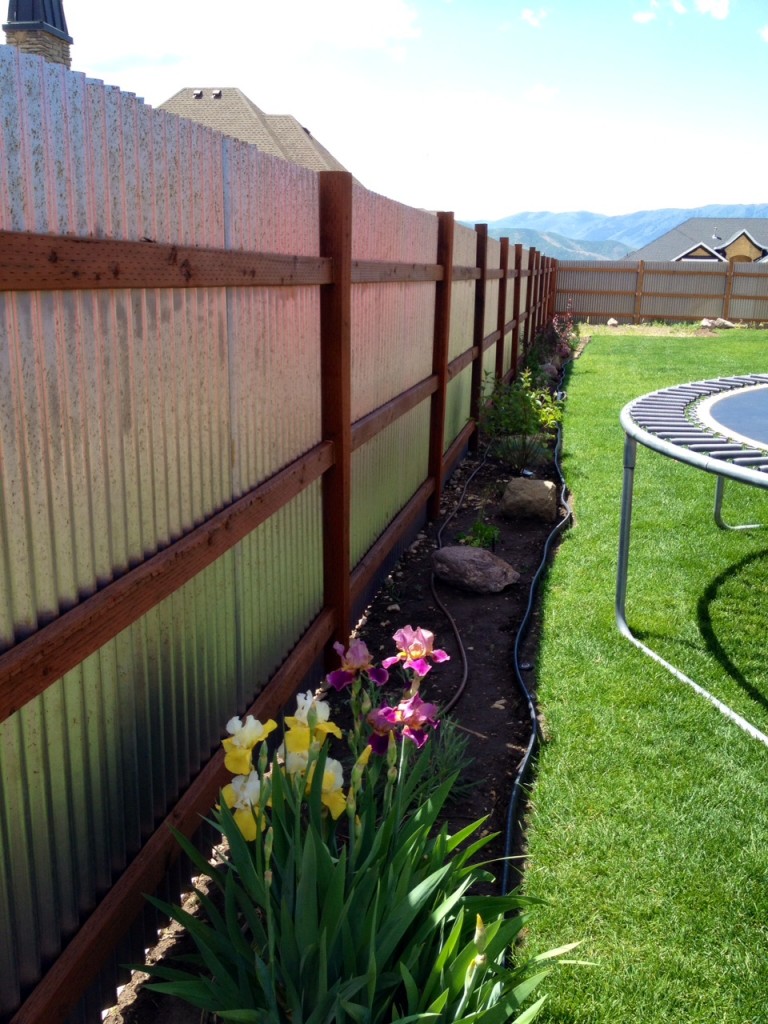 corrugated fence